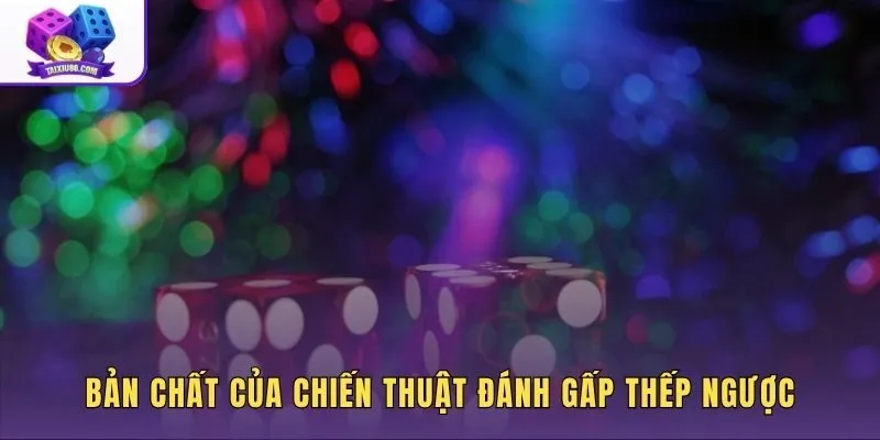 Nguyên lý vận hành dòng tiền khi đánh gấp thếp ngược