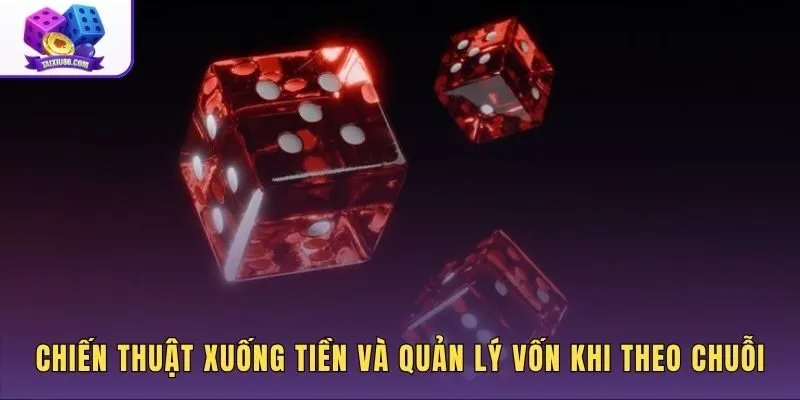 Mẹo bắt cầu bập bênh cùng chiến thuật phân bổ tiền cược