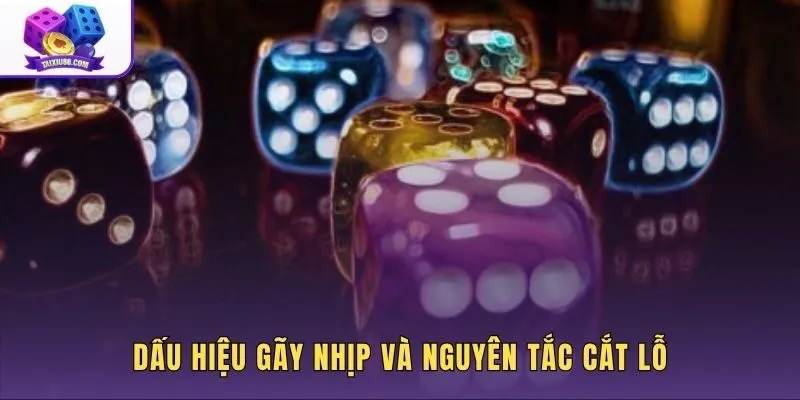 Mẹo bắt cầu bập bênh và nguyên tắc dừng đúng thời điểm